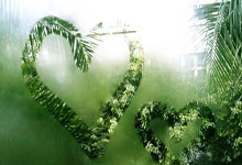 曼联主场艰难获胜，攻守平衡表现