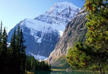 球队取得胜利，球员表现尽显英勇